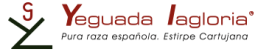 Logo Yeguada Lagloria